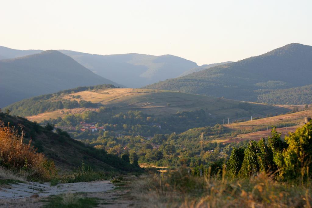 Ferienwohnung Cziroka Vendeghaz Tolcsva Exterior foto
